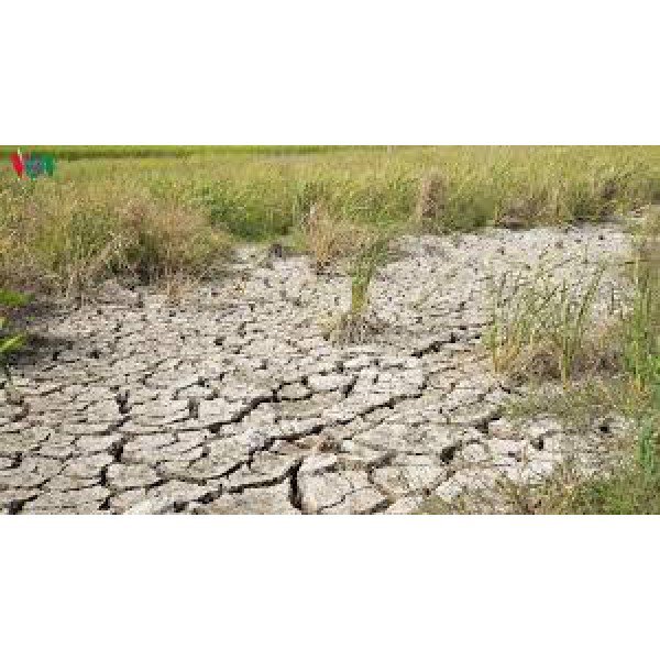 Hạn mặn hạn hán ở đồng bằng sông Cửu Long